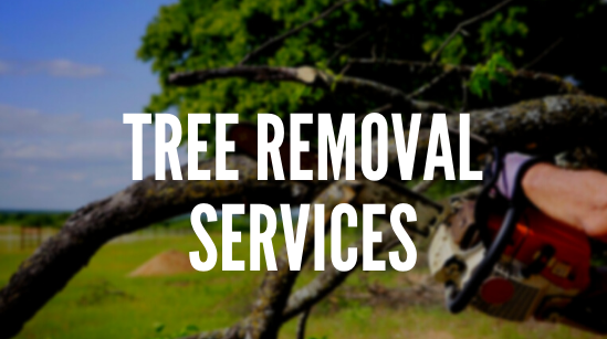 tree service Winnipeg