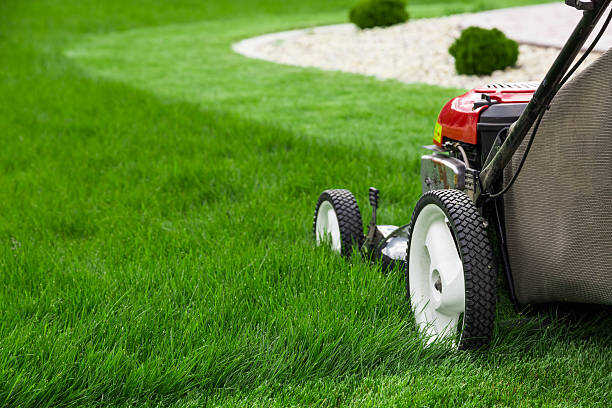 tree care calgary