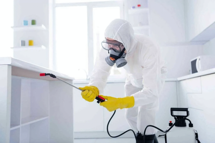 Pest Control Company in Red Deer